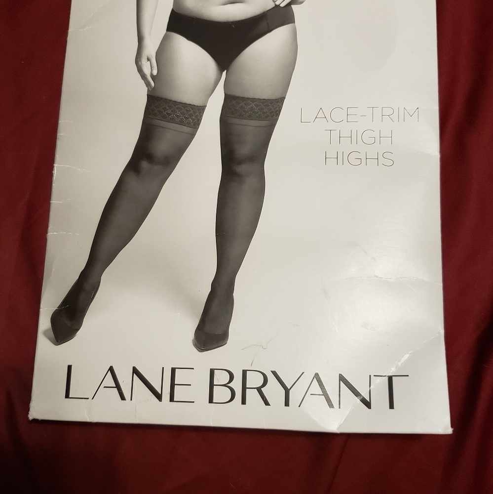 Plus size thigh highs